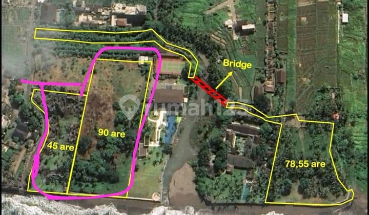 Tanah Jual Lokasi Cemagi