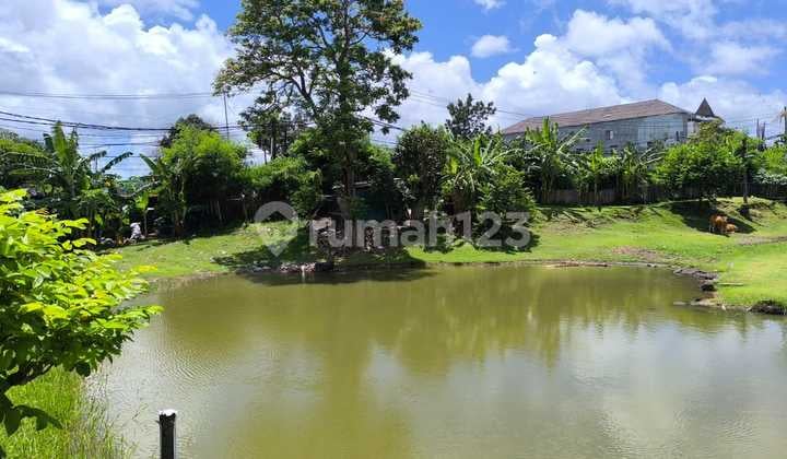 Land for Sale Location Mahendradata