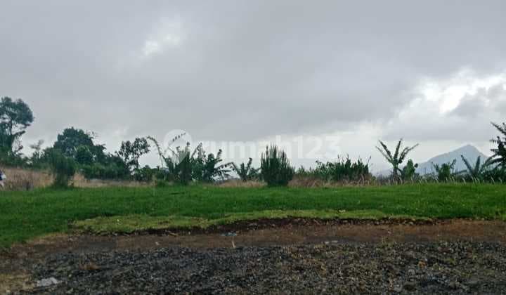 Tanah Jual Lokasi Wanagiri