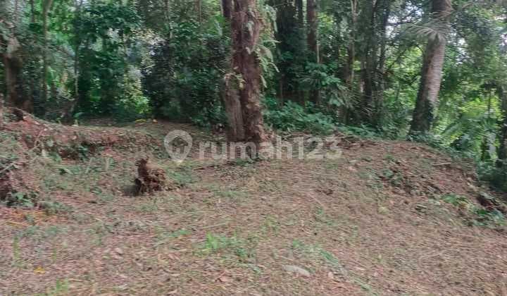 Tanah Jual Lokasi Keliki