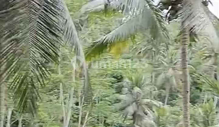 Tanah Jual Lokasi Samplangan