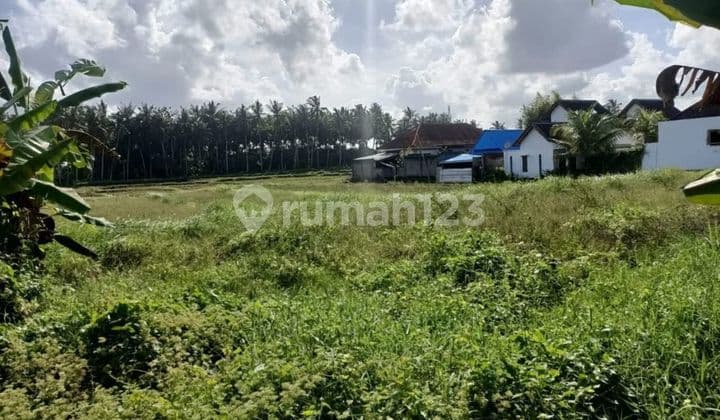 Land for Sale Location Kemenuh