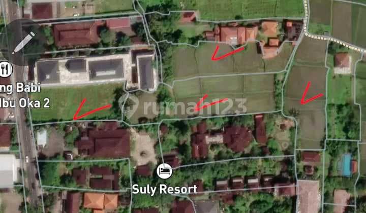 Tanah Jual Lokasi Mas