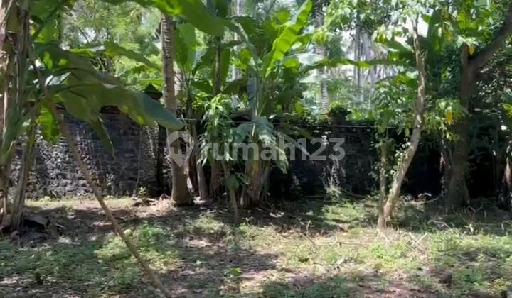 Tanah Jual Lokasi Jasri Tanah Jual Lokasi Jasri