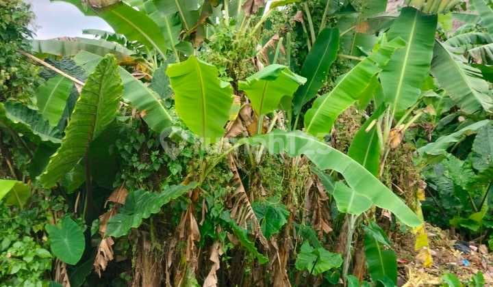 Tanah Jual Lokasi Ubud