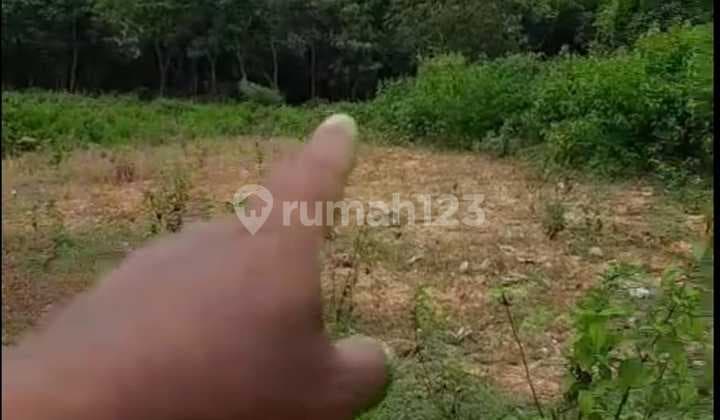 Tanah Jual Lokasi Nusa Dua