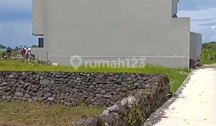 Tanah Jual Lokasi Kerobokan