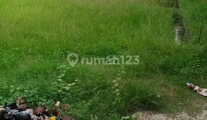 Tanah Jual Lokasi Kaba Kaba