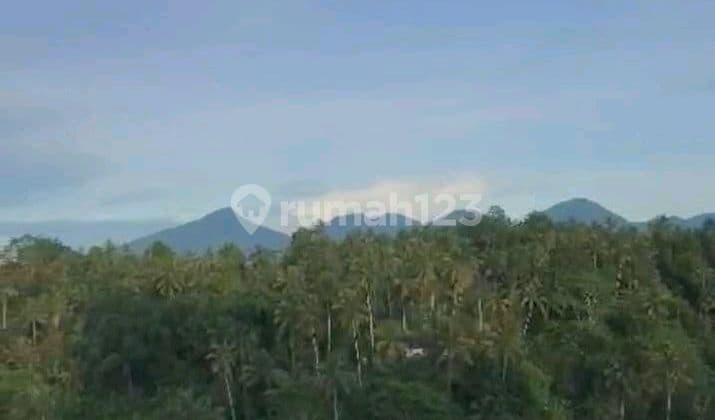 Tanah Jual Lokasi Taro