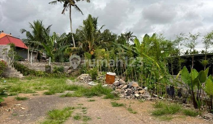 Tanah Jual Lokasi Kemenuh