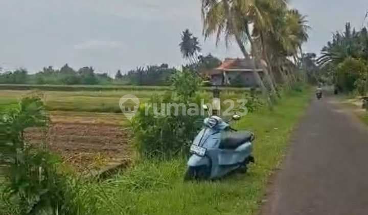 Tanah Jual Lokasi Delod Berawah