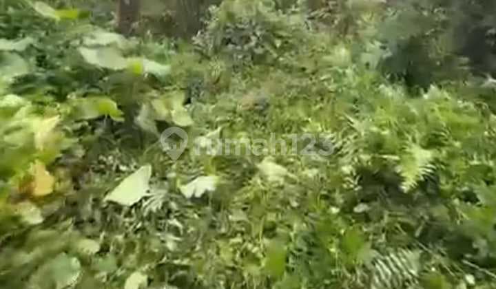 Tanah Jual Lokasi Tegallalang