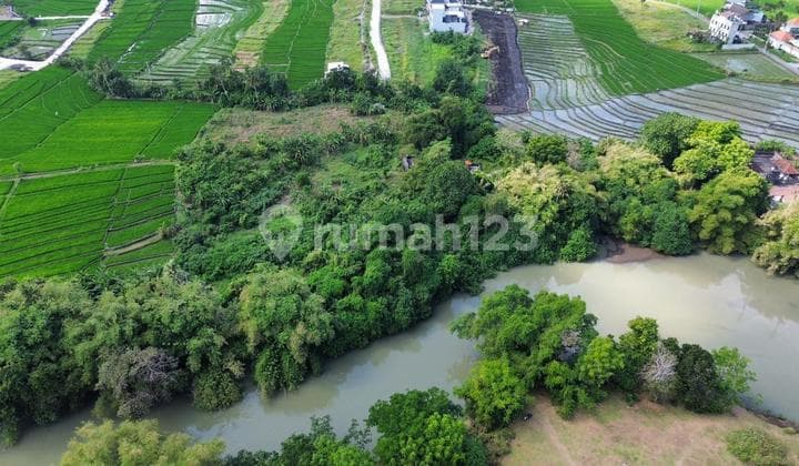 Tanah Jual Lokasi Cemagi