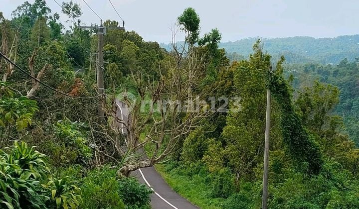 Tanah Jual Lokasi Plaga