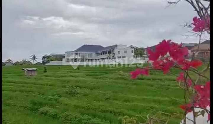 Villa for Sale in Munggu Location