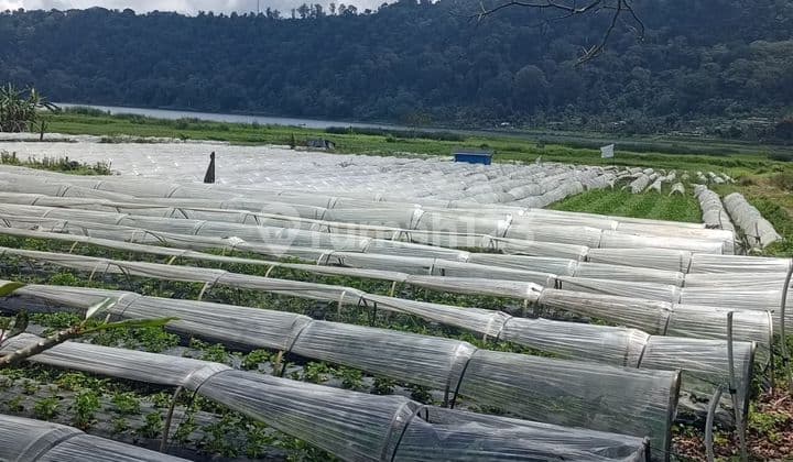 Tanah Jual Lokasi Dasong