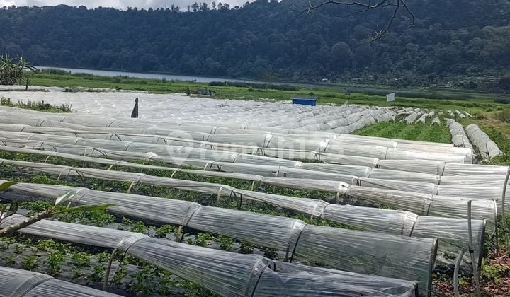 Land For Sale Dasong Location