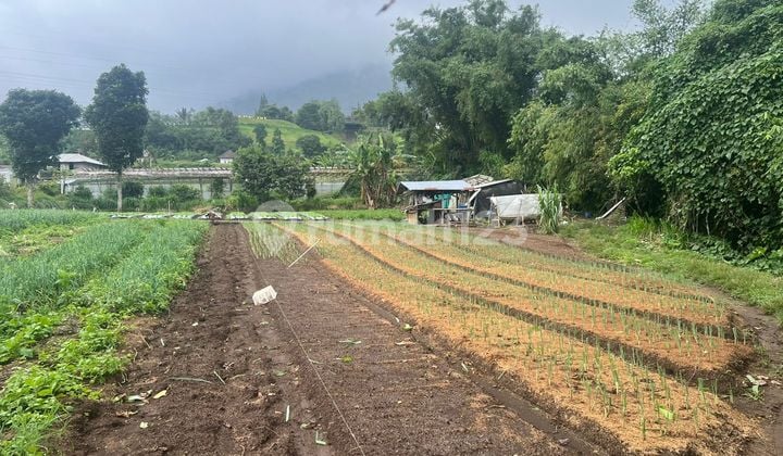 Tanah Jual Lokaai Bedugul