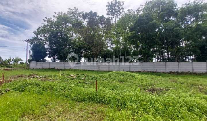 Kavling Murah Cisauk, Dekat Tol Serpong-Balaraja. Terima SHM Pecah