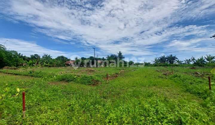 Kavling Murah Cisauk, Dekat Stasiun Jatake & Tol Serbaraja. SHM