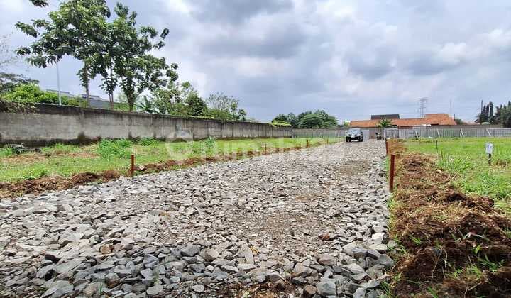Boarding House & Residential Plots South of Campus & Pamulang Square. Freehold Title.