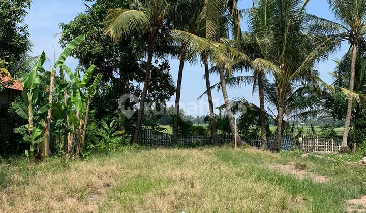 Land for Sale in Sangiang, East Sepatan, Tangerang