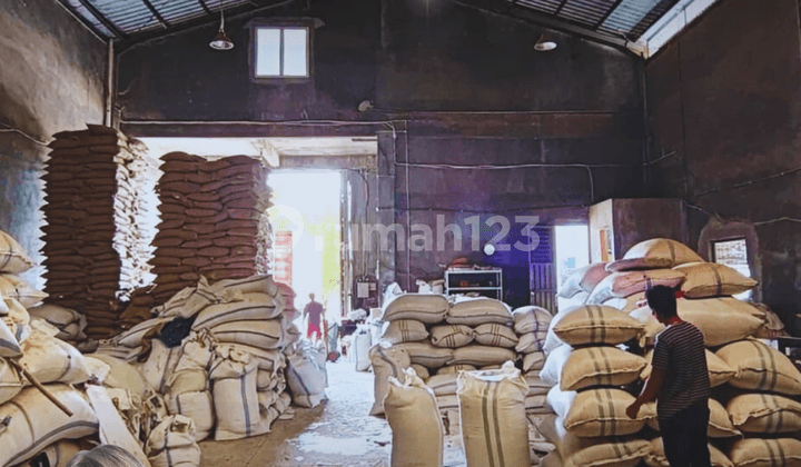 Gudang Murah Lokasi Jalan Bintang Terang