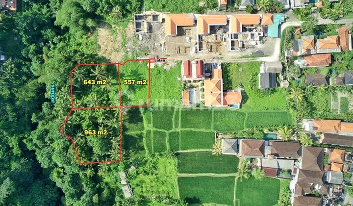 Land in Los Sungai Tirta Tawar Ubud Bali