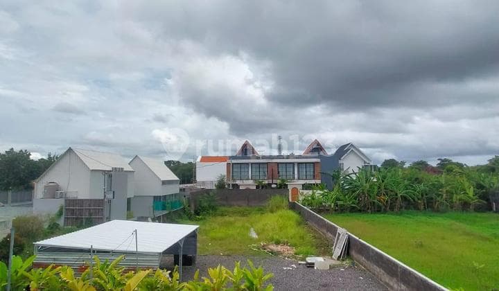 Tanah Murah Umalas Kerobokan Badung