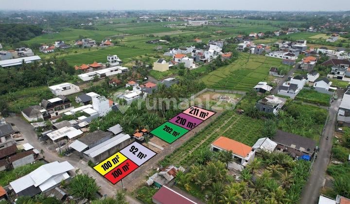Kedungu Tabanan Bali Land Plot