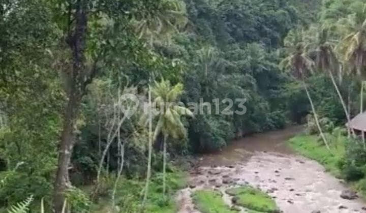 Tanah Los Sungai Ayung Kedewatan Ubud Gianyar