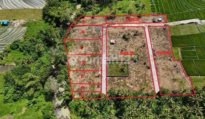 Tanah Gebang Gading Beraban Tabanan Bali