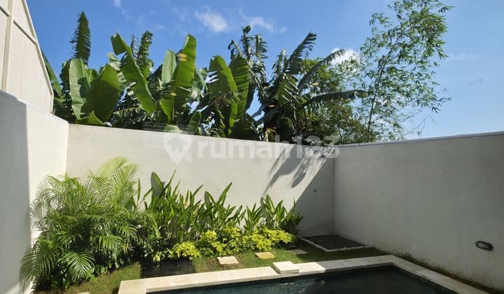 Villa View Sawah Seminyak North Kuta Badung Bali