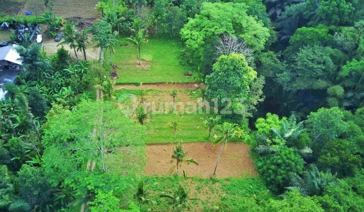 Tanah Jungle Payangan Ubud Bali