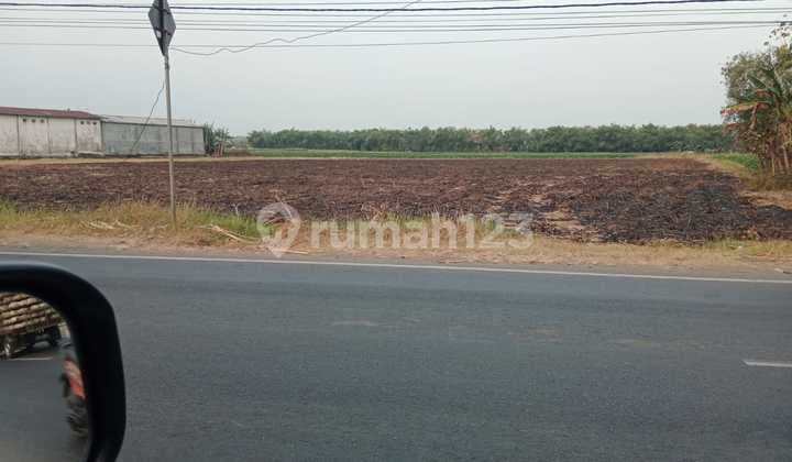 Dijual Tanah Karang Pakis Kabuh di Kabuh Tanah