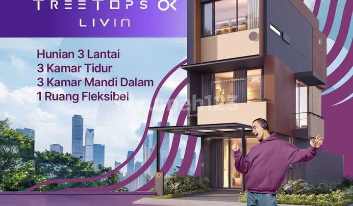 Tree Tops Ok Livin Alpha 3,3 5Enses Collection Lippo Cikarang