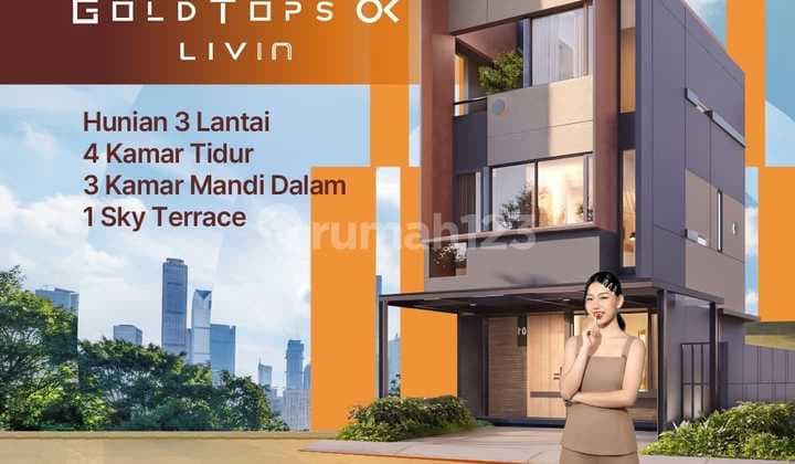 Gold Tops Ok Livin 5×12.5M 5Enses Collection Lippo Cikarang