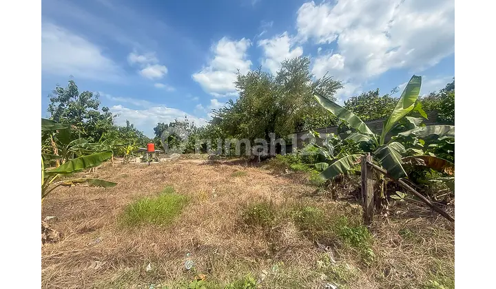Tanah Murah Area Tembalang