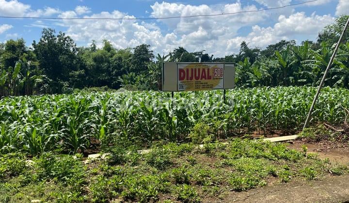 Tanah Murah Dekat Tawangmangu 130Rb/M