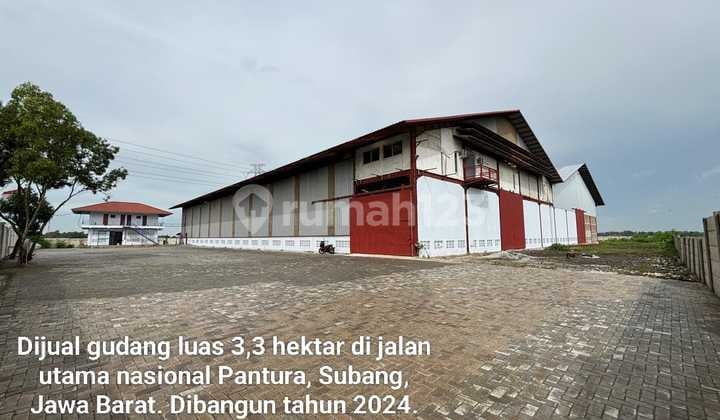 Gudangan Pantura Subang Murah Meriah