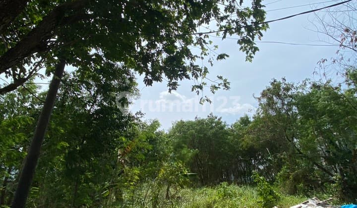 Dijual Kavling Palm Spring Siap Bangun