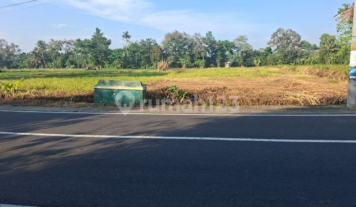 Tanah Jogja Tepi Jalan Area Kampus Uii, Nyaman Huni dan Asri