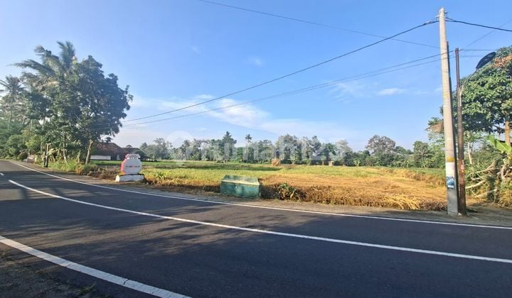 Tanah Jogja Tepi Jalan Raya Area Kampus Uii dan Kopi Klothok, SHM Pekarangan