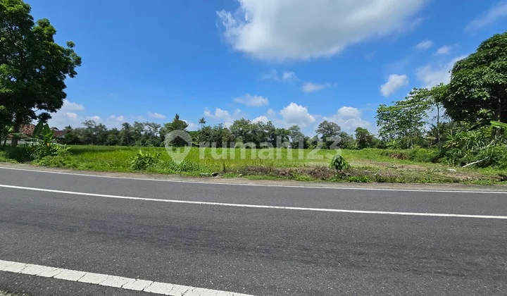 Tanah Dijual Dekat Kampus Uii Jogja, Akses Jalan Lebar dan Legalitas SHM Pekarangan