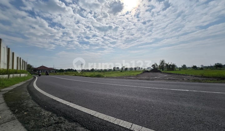 Tanah Jogja Murah Dekat Pintu Tol Jogja dan Kampus Umy