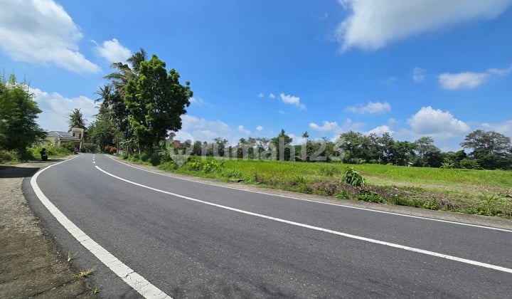 Tanah Murah Yogyakarta, 5 Menit Kopi Klotok, SHM Pekarangan
