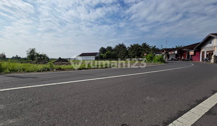 Tanah Jogja Dekat Pintu Tol, Legalitas SHM Pekarangan Pecah Per Unit