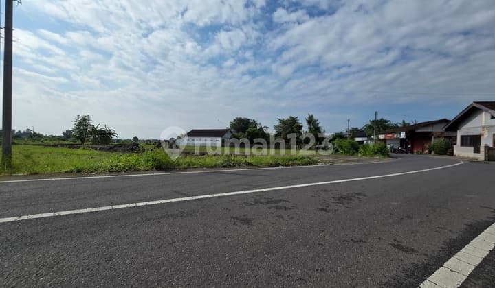 Tanah Jogja Dekat Pintu Tol Baru Jogja dan Kampus Umy Siap Bangun dan Legalitas SHM Pekarangan