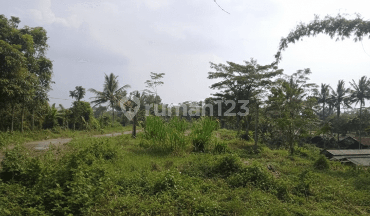 Tanah Luas dan Murah di Kawasan Sudimoro dekat dengan Jalan Raya Magelang-Yogyakarta