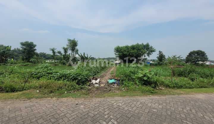 Tanah Luas dan Murah Dekat dengan Stadion Gelora Gajah Mada